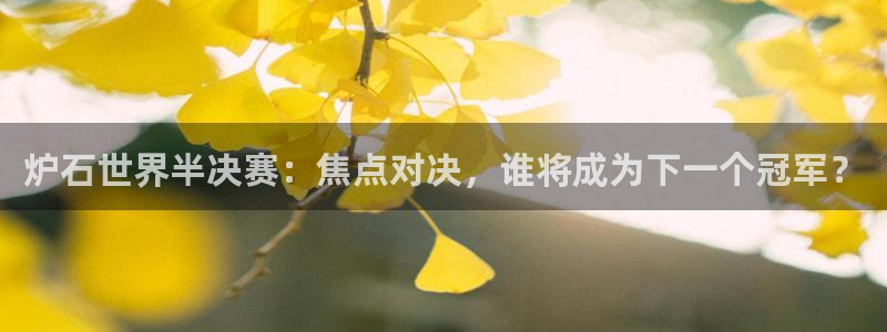 看世界杯：炉石世界半决赛：焦点对决，谁将成为下一个冠军？