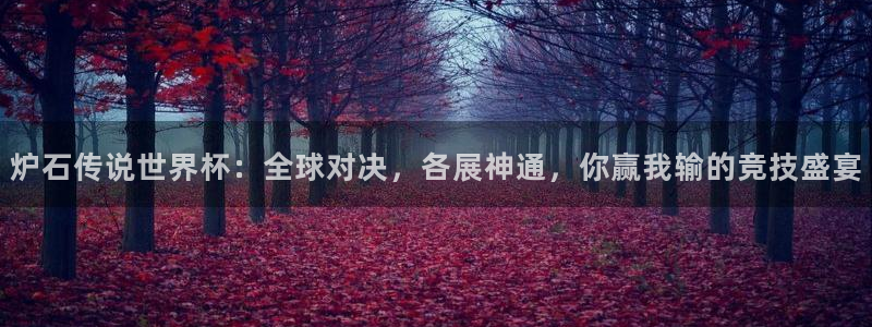 世界杯欧洲区预选赛：炉石传说世界杯：全球对决，各展神通，你赢我输的竞技盛宴