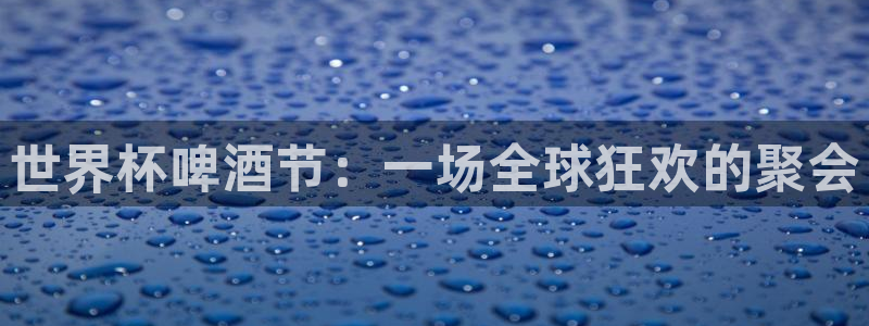 世界杯球队排名：世界杯啤酒节：一场全球狂欢的聚会