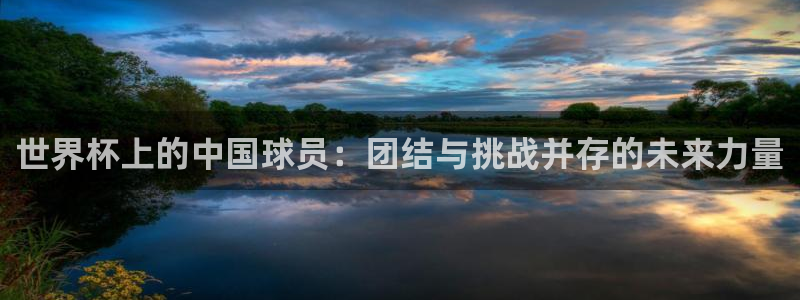 世界杯赛程2026：世界杯上的中国球员：团结与挑战并存的未来力量