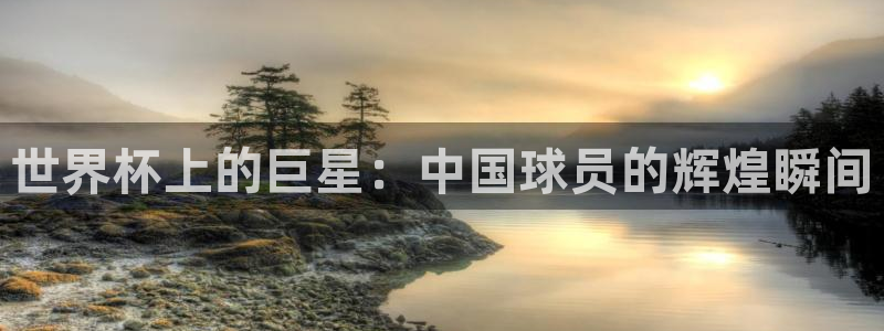 26世界杯：世界杯上的巨星：中国球员的辉煌瞬间