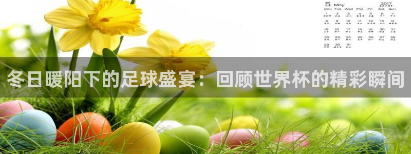 世预赛欧洲赛程表：冬日暖阳下的足球盛宴：回顾世界杯的精彩瞬间