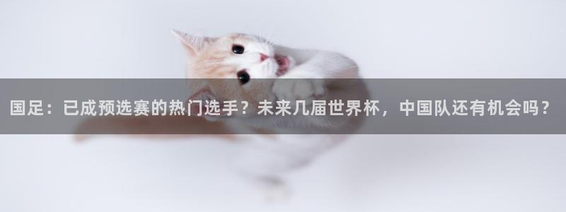 世界杯决赛直播：国足：已成预选赛的热门选手？未来几届世界杯，中国队还有机会吗？