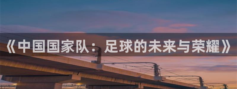 26世界杯：《中国国家队：足球的未来与荣耀》