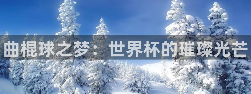 世界杯决赛预测：曲棍球之梦：世界杯的璀璨光芒