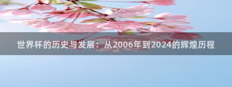 世界杯预选赛欧洲赛区积分榜：世界杯的历史与发展：从2006年到2024的辉煌历程