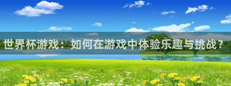 欧洲世界杯预选赛：世界杯游戏：如何在游戏中体验乐趣与挑战？