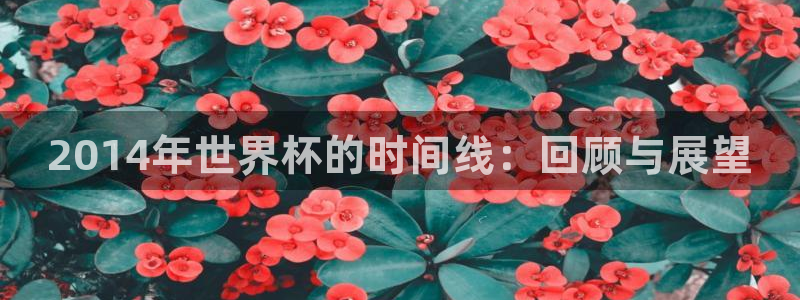 世界杯2026赛制：2014年世界杯的时间线：回顾与展望