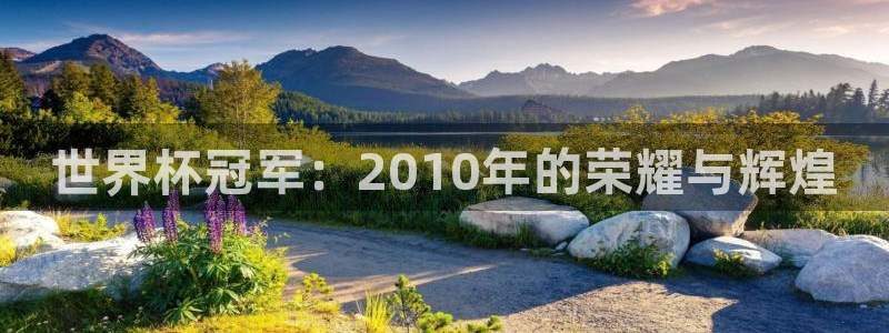 2026葡萄牙杯赛程表：世界杯冠军：2010年的荣耀与辉煌