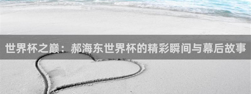 2026世界杯：世界杯之巅：郝海东世界杯的精彩瞬间与幕后故事