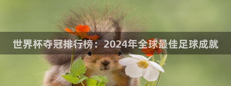 足球世界杯2026年赛程时间表：世界杯夺冠排行榜：2024年全球最佳足球成就
