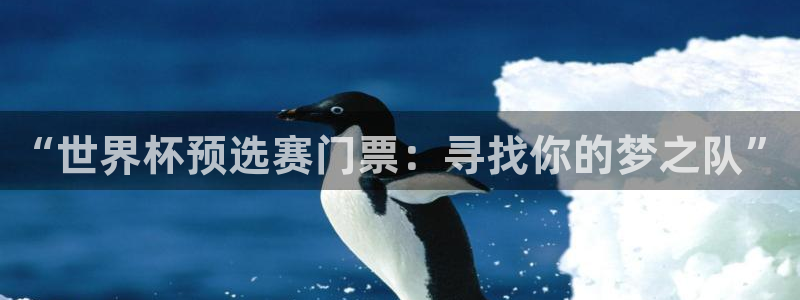 欧联杯直播：“世界杯预选赛门票：寻找你的梦之队”